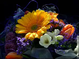 Gerbera, Frezja, Kwiaty, Bukiet, Tulipan
