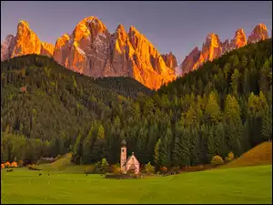 Dolomity, Wieś, Las, Santa Maddalena, Południowy Tyrol, Drzewa, Kościół św Jana, Włochy, Dolina Val di Funes, Góry, Łąka