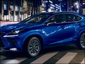 Cool & Bright, Lexus NX F Sport, Wersja