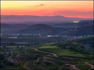 Kaiserstuhl, Zachód słońca, Drzewa Farmy i pola, Niemcy, Winnice, Plantacje, Wzgórza