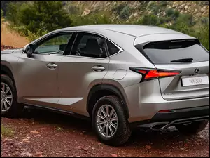 Tył, Lexus NX, Bok
