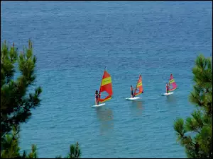 Surferzy na morzu