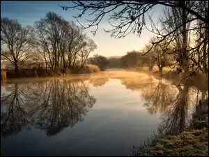 Avon River, Drzewa, Trawa, Odbicie, Poranek, Hrabstwo Worcestershire, Bezlistne, Jesień, Mgła, Rzeka, Anglia