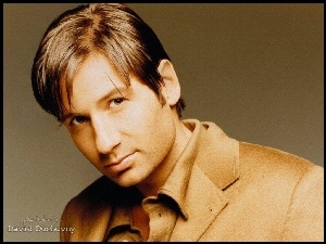 David Duchovny, brązowy strój