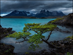 Jezioro, Kamienie, Cordillera Paine, Park Narodowy Torres del Paine, Andy, Patagonia, Lake Pehoe, Góry, Drzewa, Chmury, Chile