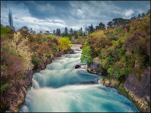 Drzewa, Nowa Zelandia, Waikato River, Rzeka, Skały