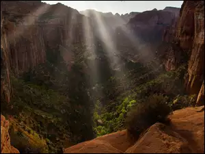 Stany Zjednoczone, Zion Canyon, Stan Utah, Park Narodowy Zion, Dolina, Promienie słońca, Rośliny, Kanion, Skały