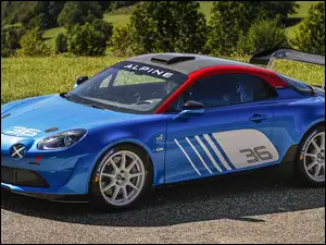 Rajdowy, Renault Alpine A110 Rally