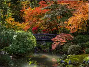 Stany Zjednoczone, Ogród japoński, Oregon, Portland Japanese Garden, Portland, Drzewa, Krzewy, Jesień, Mostek