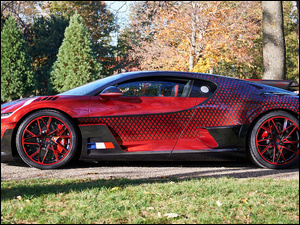 Bok, Bugatti Divo Lady Bug