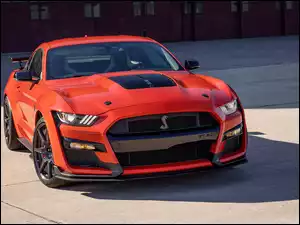 Mustang