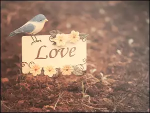 Ptaszek na kartce z napisem love