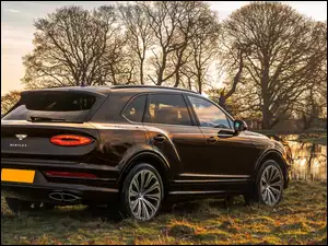 Bentley Bentayga Outdoor Pursuits collection Tył