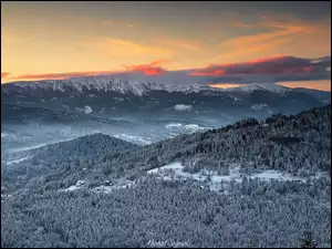 Beskidy Zachodnie, Masyw, Polska, Góry, Domy, Drzewa, Babia Góra