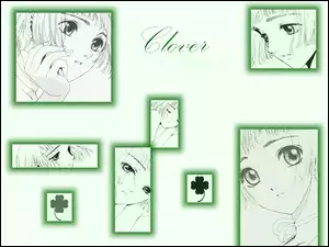Clover, twarze, kobiety, koniczyna