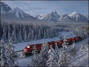 Bow River, Drzewa, Zima, Lasy, Góry Skaliste, Alberta, Pociąg, Park Narodowy Banff, Śnieg, Rzeka, Kanada
