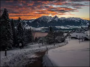 Śnieg przy drodze do jeziora Thunersee w Alpach Berneńskich