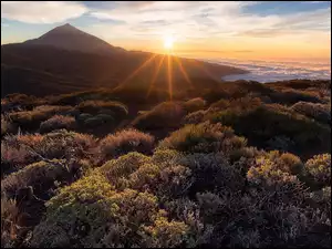 Teneryfa, Hiszpania, Góry, Roślinność, Wschód słońca, Góra Teide