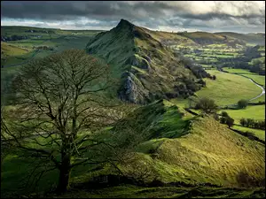 Drzewo, Park Narodowy Peak District, Parkhouse Hill, Anglia, Wzgórze, Wschód słońca
