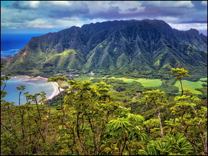 Hawaje