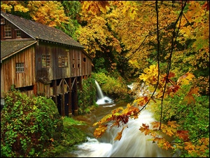 Stany Zjednoczone, Młyn, Stan Waszyngton, Las, Woodland, Cedar Creek Grist Mill, Rzeka, Jesień, Drzewa