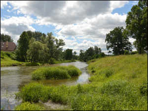 Rzeka, Lato, Drzewa, Dom, Trawa, Chmury