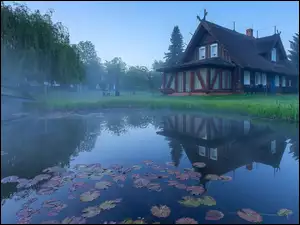 Domy, Mostek, Liście, Staw, Mgła, Trawa, Drzewa