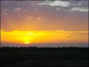 Las, Słońce, Chmury