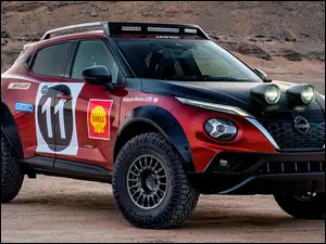 Nissan Juke Rally Tribute Concept