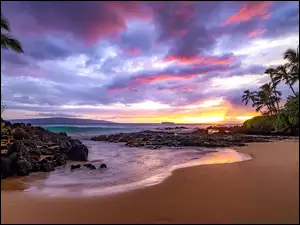 Hawaje, Maui, Skały, Stany Zjednoczone, Palmy, Plaża, Morze