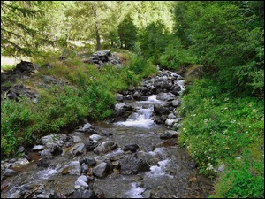 Potok z kamieniami