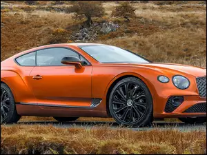 Bentley Continental GT Mulliner