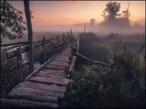 Mglisty poranek nad łąką