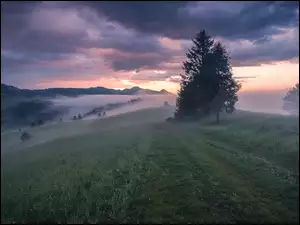 Ciemne chmury nad polaną