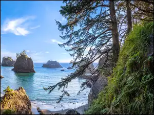 Park stanowy Samuel H Boardman State Scenic Corridor