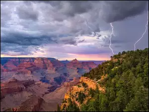 Drzewa, Skały, Park Narodowy Wielkiego Kanionu, Arizona, Kanion, Pioruny, Stany Zjednoczone, Grand Canyon