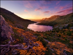 Park Narodowy Cradle Mountain w Australii