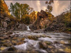 Stany Zjednoczone, Młyn, Kolorado, Kamienie, Drzewa, Rzeka, Crystal River, Jesień, Skały