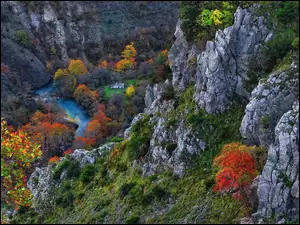 Wąwóz, Skały, Drzewa, Vikos Gorge, Kolorowe, Rzeka, Grecja, Krzewy