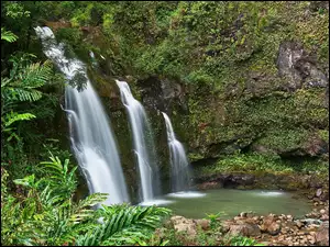 Wodospad Upper Waikani Falls, Skały, Hawaje, Las, Maui, Roślinność, Drzewa