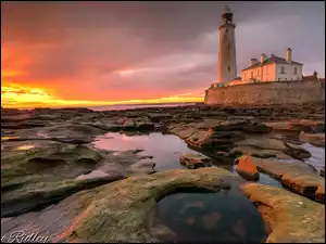 St Marys Lighthouse, Latarnia morska, Zachód słońca, Anglia, Skały, Wyspa St Marys