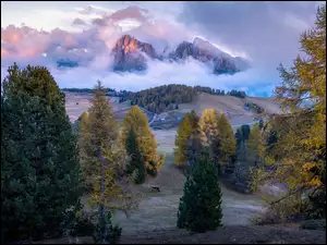 Mgła, Góry, Jesień, Chmury, Dolomity, Krowa, Włochy, Drzewa