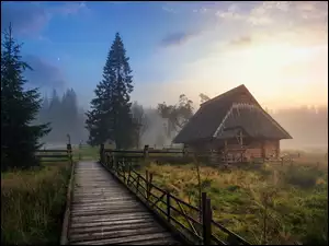 Domek z pomostem na zamglonym polu