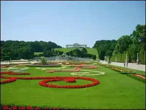 Wzorki, Park, Kwiaty