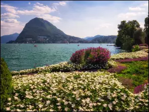 Jezioro Lugano, Kwiaty, Alpy, Szwajcaria, Góry, Parco Ciani