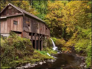 Cedar Creek Grist Mill, Młyn, Drzewa, Stany Zjednoczone, Rzeka, Woodland