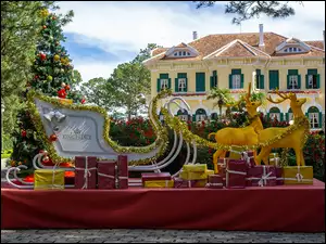 Choinka, Prowincja Lam Dong, Prezenty, Bao Dai King Palace in Da Lat, Dom, Wietnam, Nowy Rok, Zaprzęg, Boże Narodzenie, Sanie, Renifery, Hotel