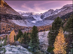 Szwajcaria, Alpy, Kanton Gryzonia, Jesień, Dolina Morteratsch, Lodowiec Morteratsch, Kamienie, Góry, Drzewa