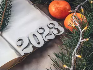 Data 2023 na otwartej książce obok mandarynek i gałązek