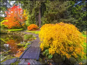 Drzewa, Stany Zjednoczone, Bloedel Reserve Bainbridge, Staw, Waszyngton, Jesień, Kładka, Ogród botaniczny